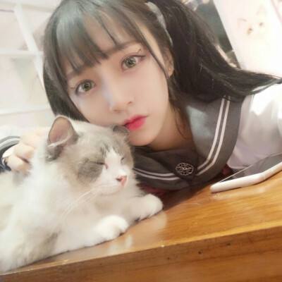 星域边缘破解版下载